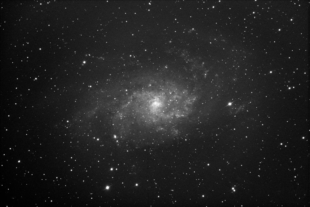 M33