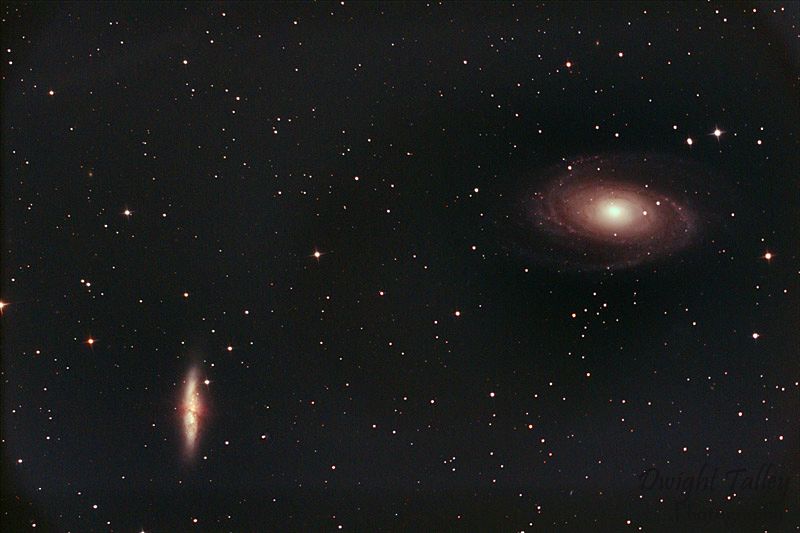 M81