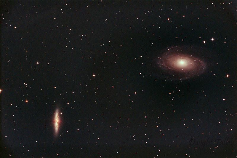 M81