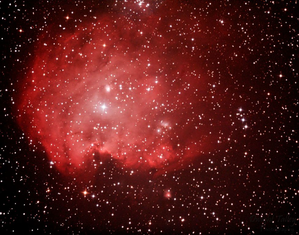 Monkeyhead Nebula