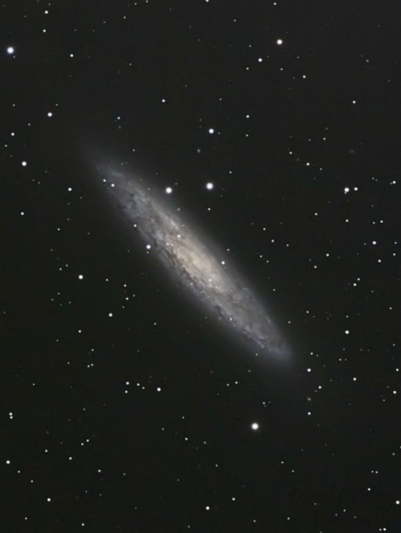 Sculptor Galaxy