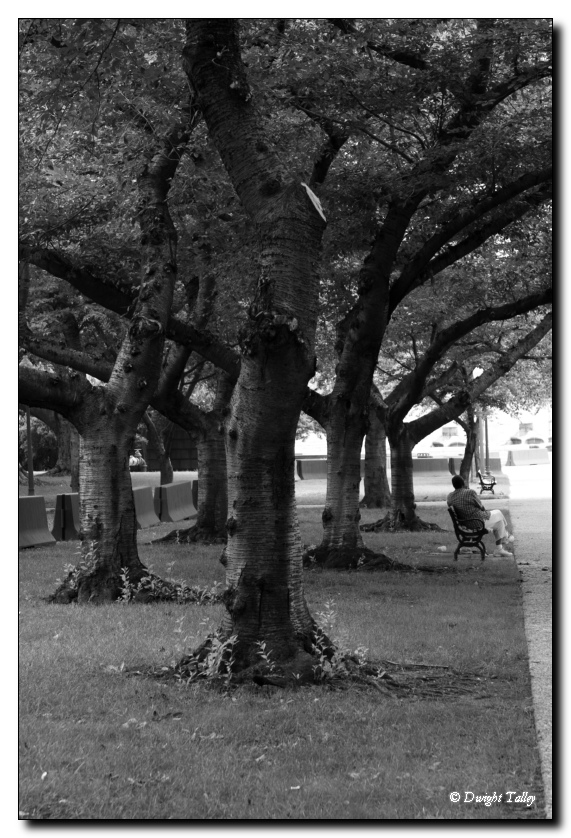 159_5938bw