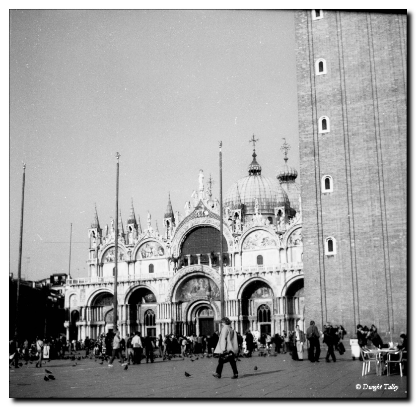 venicebw