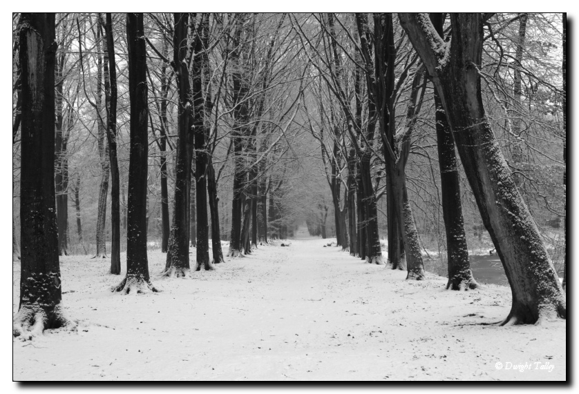 wintersnow