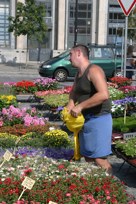 flowershow-001-web