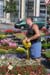 flowershow-001-web