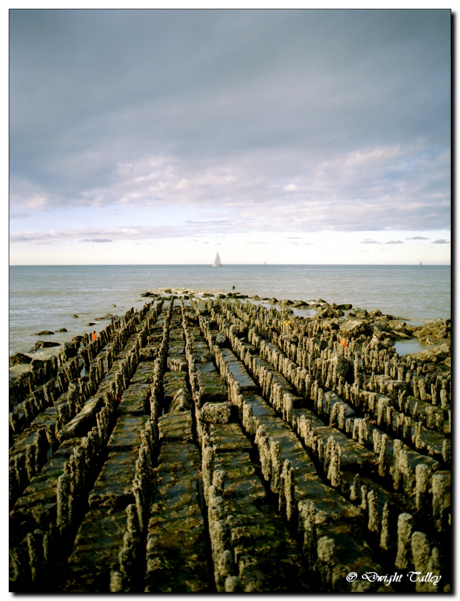 belgium_beach