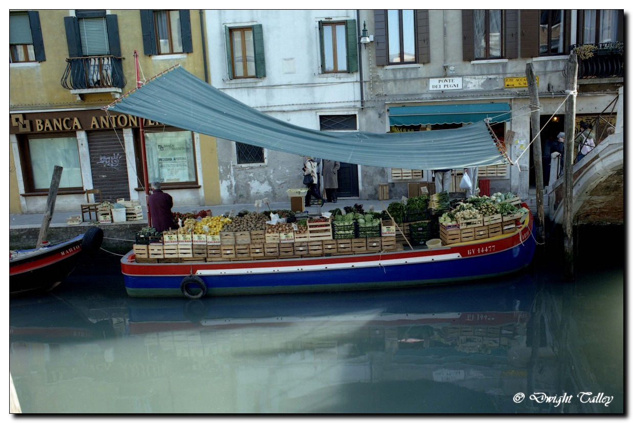 vegboat